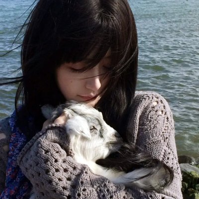 樱花革命:花开时的少女们